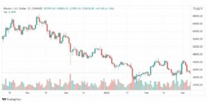 تحليل البتكوين دولار 8/3