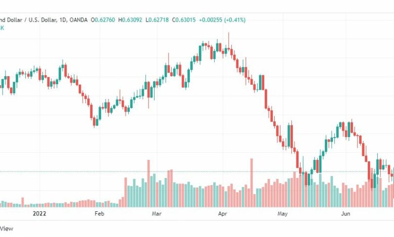 تحليل النيوزلندي دولار-NZD-USD-24-6-2022