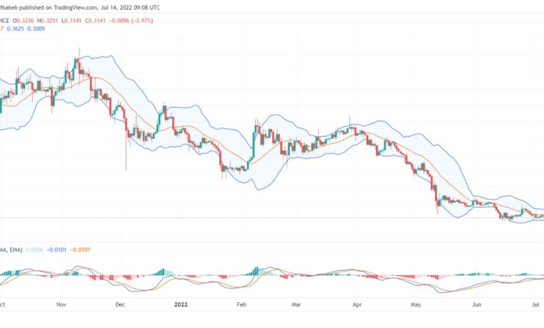 تحليل الريبل 14/07/2022 (Xrp) (Ripple)
