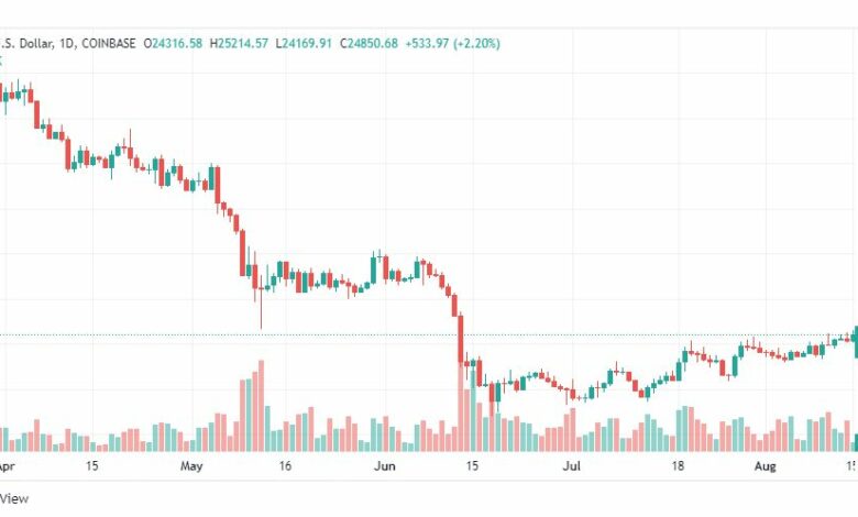 تحليل البتكوين دولار-BTC-USD-15-8-2022