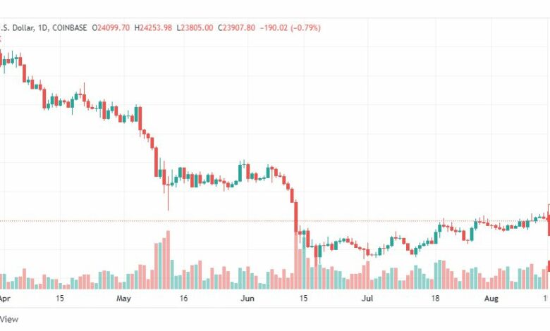 تحليل البتكوين دولار-BTC-USD-16-8-2022