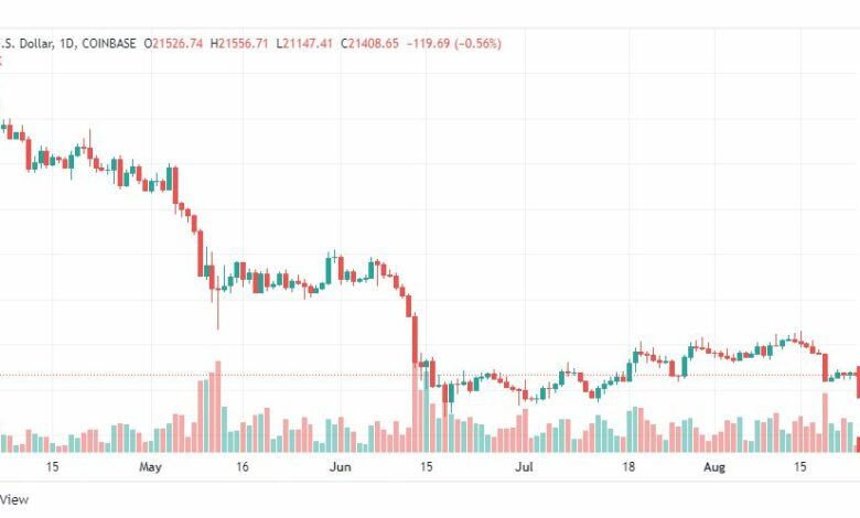 تحليل البتكوين دولار-BTC-USD-24-8-2022