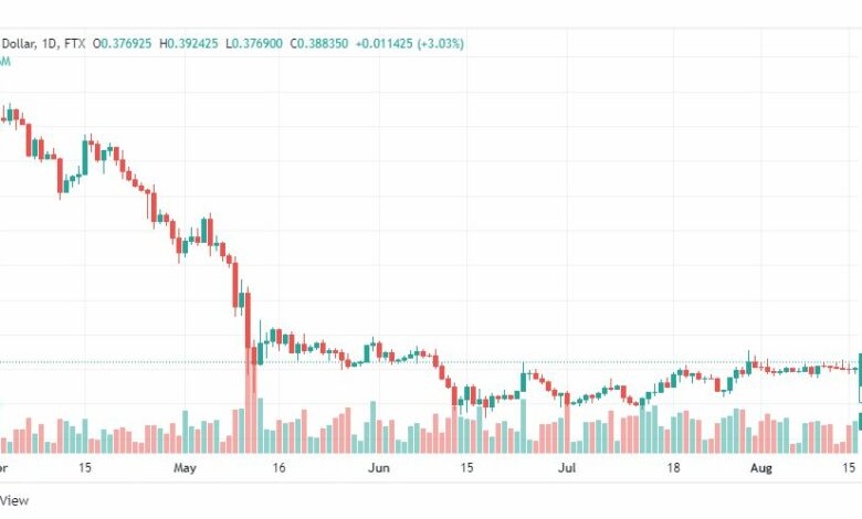 تحليل الريبل-XRP-USD-RIPPLE-17-8-2022
