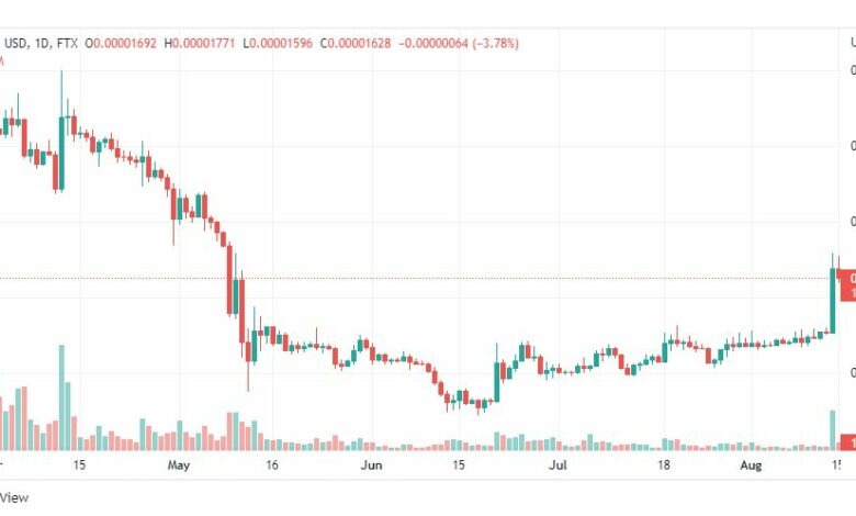 تحليل عملة شيبا اينو-SHIB-SHIBA-INU-COIN-15-8-2022