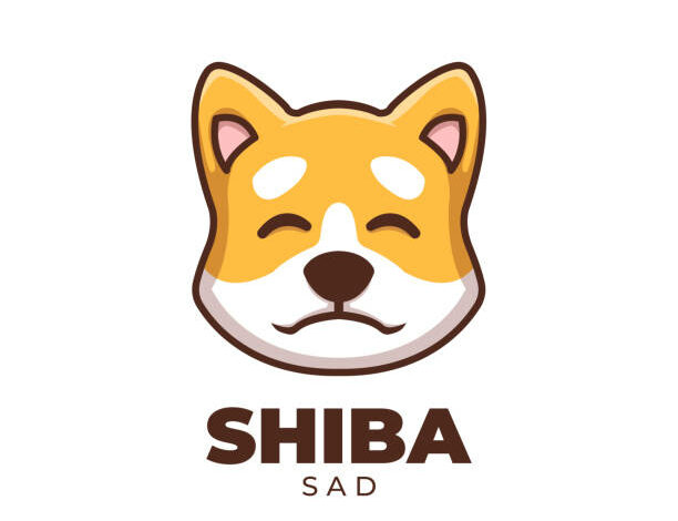 هل يشير سعر Shiba Inu إلى الشراء قبل أن ينفجر إلى 0.0000200 دولار؟