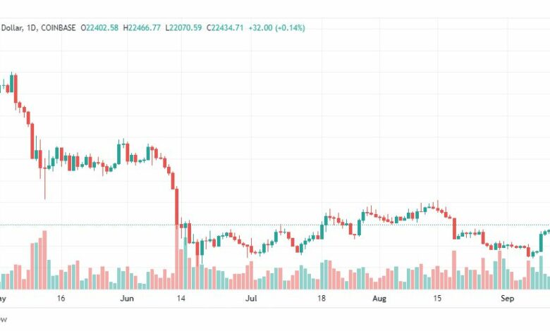 تحليل البتكوين دولار-BTC-USD-13-9-2022