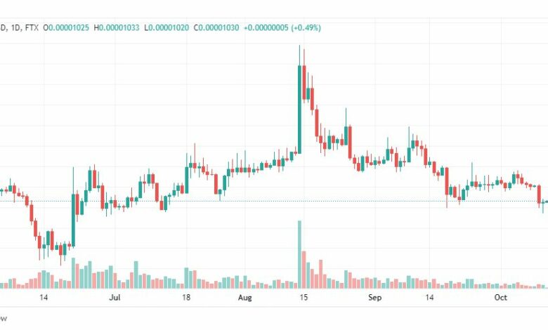 تحليل عملة شيبا اينو-SHIB-SHIBAINU-COIN-12-10-2022