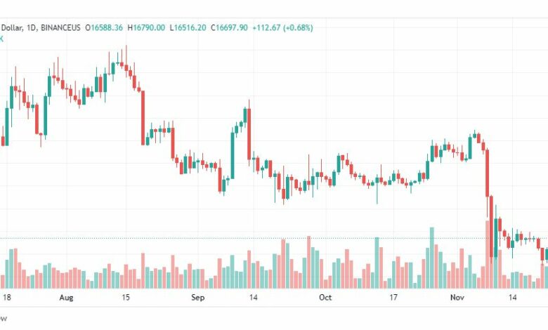 تحليل البتكوين دولار-BTCUSD-24-11-2022