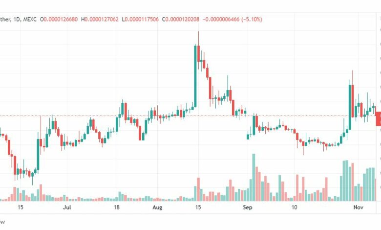 تحليل عملة شيبا اينو-SHIBAINU-SHIB-COIN-7-11-2022