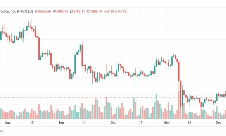تحليل البيتكوين دولار-BTCUSD-8-12-2022
