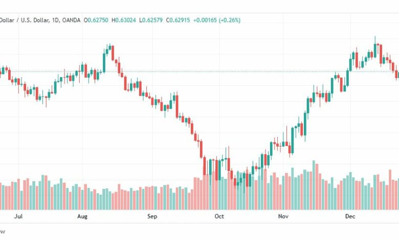 تحليل الدولار النيوزلندي-NZDUSD-28-12-2022