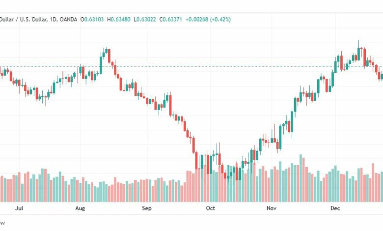 تحليل الدولار النيوزلندي-NZDUSD-29-12-2022