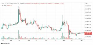 تحليل شيبا اينو-SHIB-SHIBAINU-COIN-6-12-2022