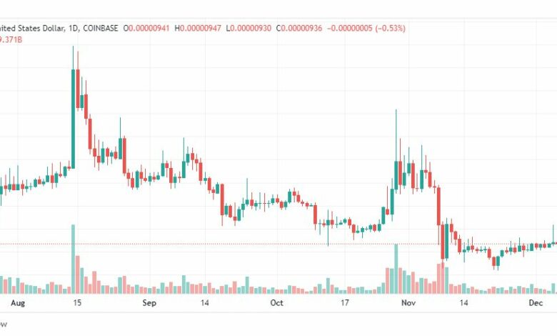 تحليل شيبا اينو-SHIB-SHIBAINU-COIN-6-12-2022