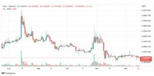 تحليل عملة شيبا-SHIBUSDT-SHIBA-INU-COIN-16-12-2022