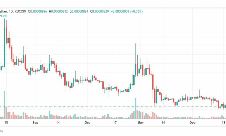 تحليل عملة شيبا اينو-SHIB-INU-COIN-22-12-2022