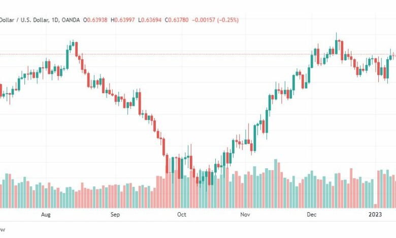 تحلي الدولار النيوزلندي-USDNZD-13-1-2023