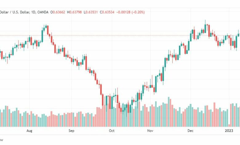 تحليل الدولار النيوزلندي-NZDUSD-12-1-2023