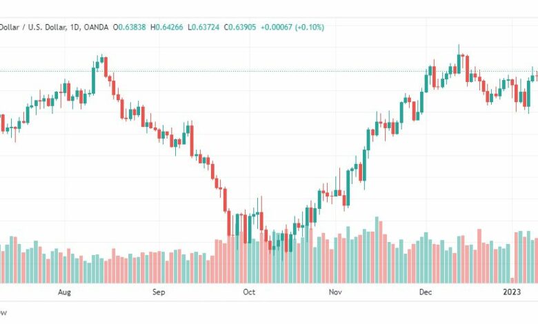 تحليل الدولار النيوزلندي-NZDUSD-16-1-2023