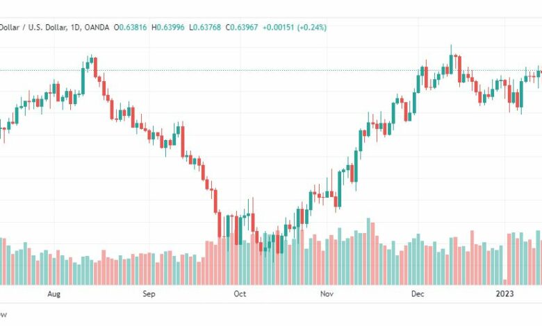 تحليل الدولار النيوزلندي-NZDUSD-17-1-2023