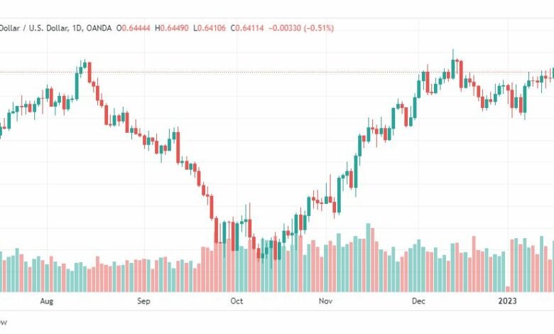 تحليل الدولار النيوزلندي-NZDUSD-19-1-2023