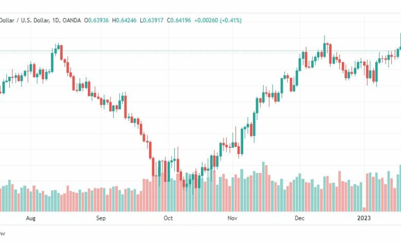 تحليل الدولار النيوزلندي-NZDUSD-20-1-2023
