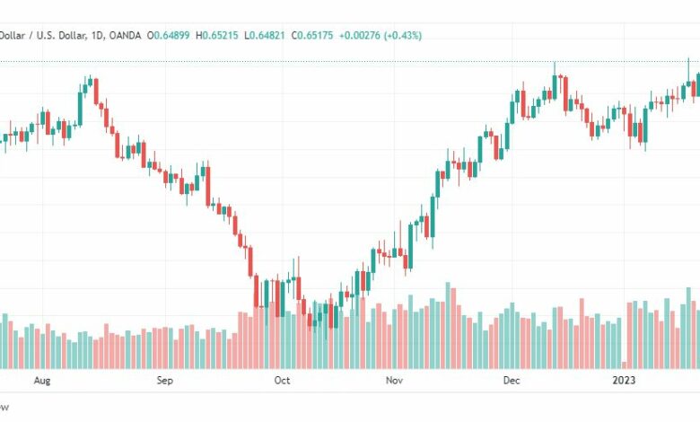 تحليل الدولار النيوزلندي-NZDUSD-24-1-2023