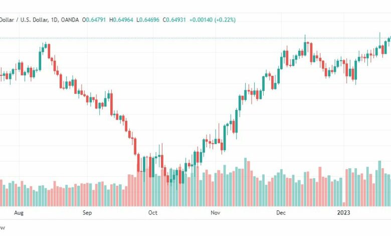 تحليل الدولار النيوزلندي-NZDUSD-26-1-2023