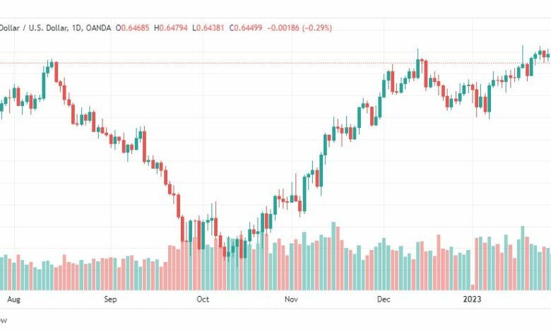 تحليل الدولار النيوزلندي-NZDUSD-31-1-2023