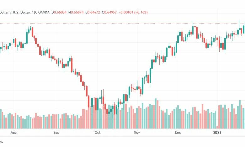 تحليل الدولار النيوزلندي-USDNZD-25-1-2023