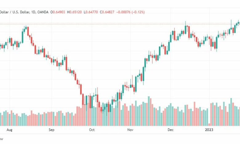 تحليل الدولار النيوزلندي-USDNZD-27-1-2023