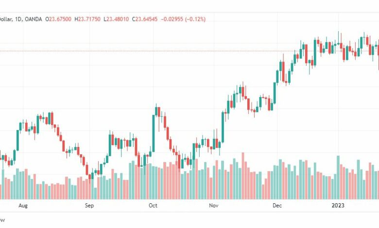 تحليل الفضة-XAGUSD-SILVER-25-1-2023