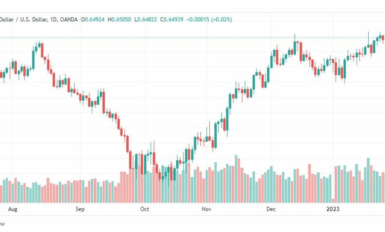 تحليل النيوزلندي دولار-NZDUSD-30-1-2023
