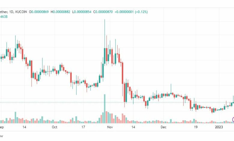 تحليل عملة شيبا اينو-SHIBUSDT-SHIBA-INU-COIN-10-1-2023