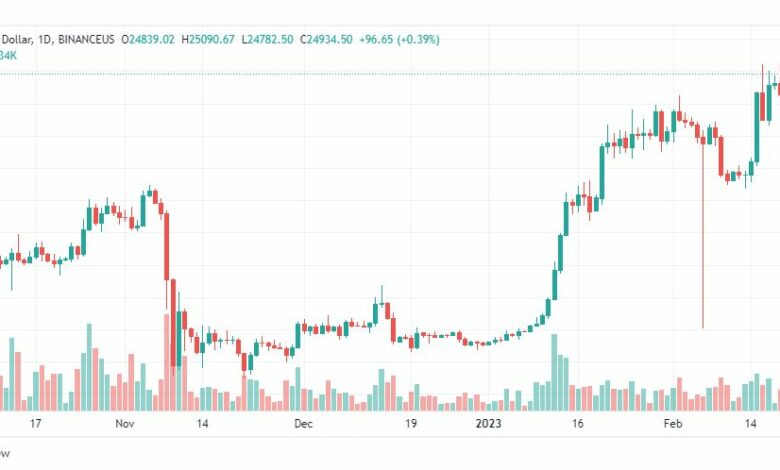 تحليل البيتكوين دولار-BTCUSD-21-2-2023