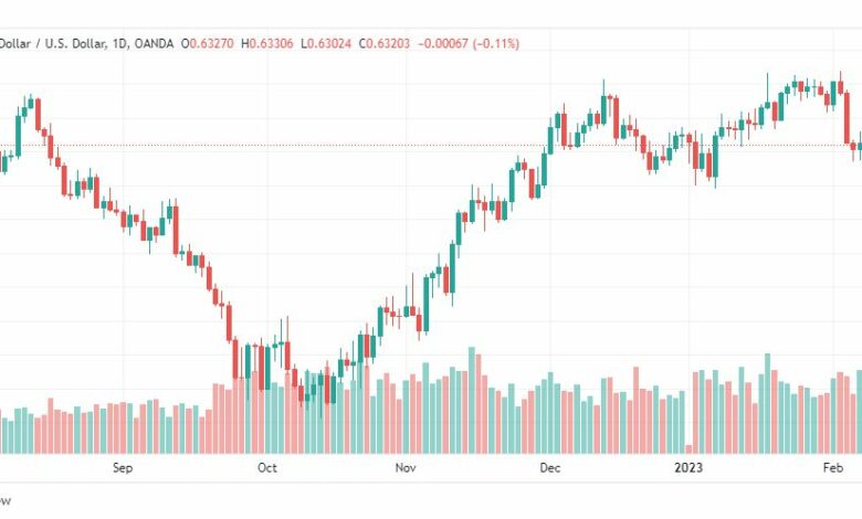 تحليل الدولار النيوزلندي-NZDUSD-10-2-2023