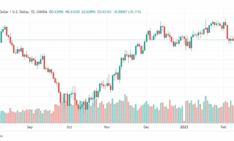 تحليل الدولار النيوزلندي-NZDUSD-13-2-2023