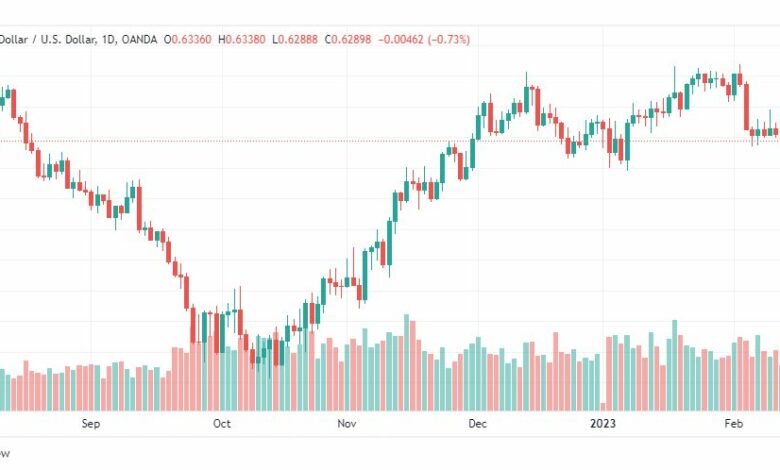 تحليل الدولار النيوزلندي-NZDUSD-15-2-2023
