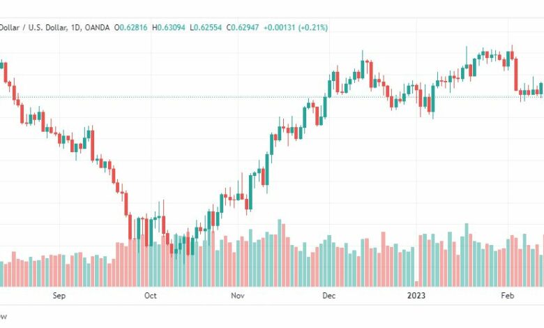 تحليل الدولار النيوزلندي-NZDUSD-16-2-2023