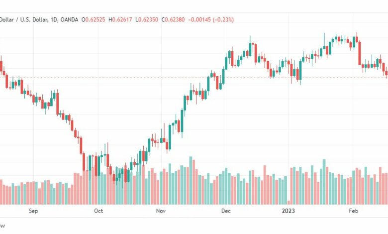 تحليل الدولار النيوزلندي-NZDUSD-21-2-2023