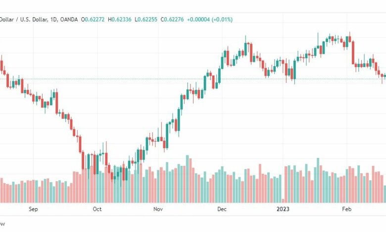 تحليل الدولار النيوزلندي-NZDUSD-24-2-2023