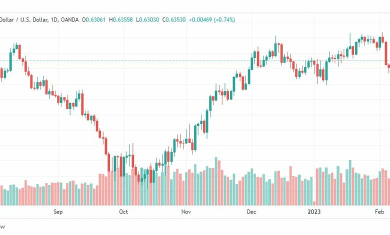 تحليل الدولار النيوزلندي-NZDUSD-9-2-2023