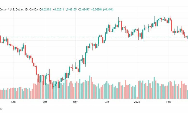 تحليل الدولار النيوزلندي-USDNZD-23-2-2023