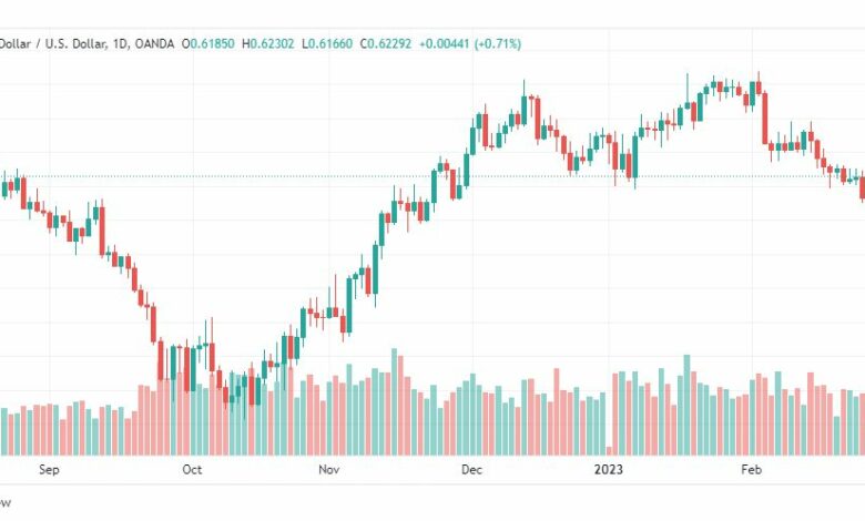 تحليل الدولار نيوزلندي-USDNZD-1-3-2023