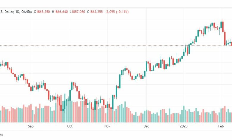 تحليل الذهب-XAUUSD-GOLD-13-2-2023