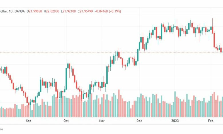 تحليل الفضة-XAGUSD-SILVER-14-2-2023