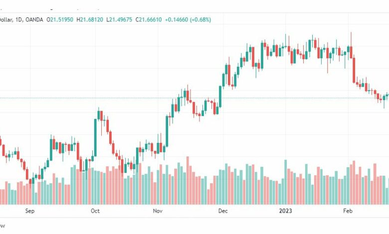 تحليل الفضة-XAGUSD-SILVER-23-2-2023