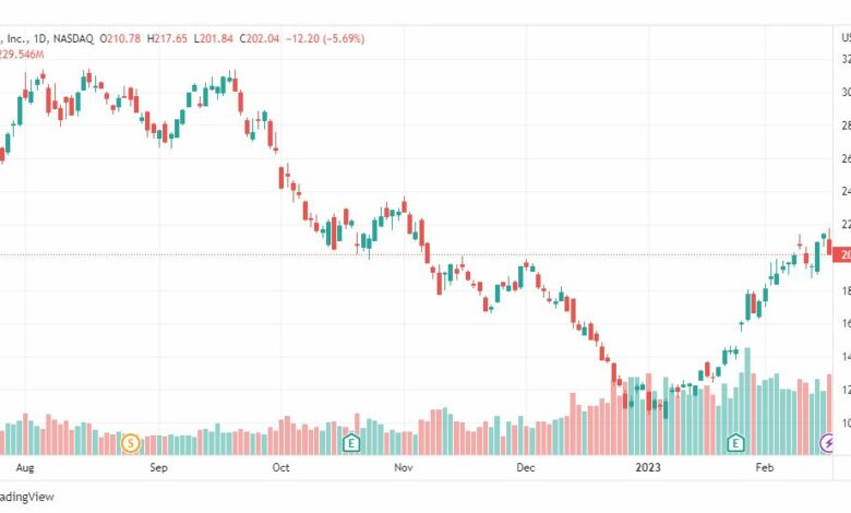 تحليل سهم تسلا-TSLA-TESLA-STOCK-17-2-2023
