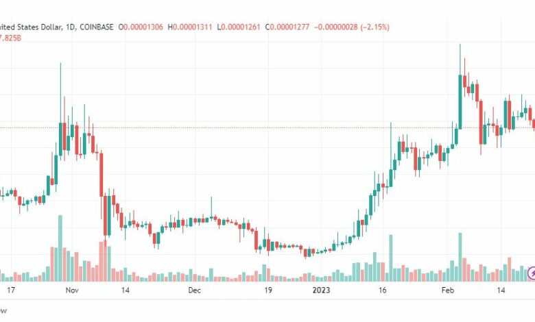 تحليل عملة شيبا اينو-SHIB-INU-COIN-22-2-2023