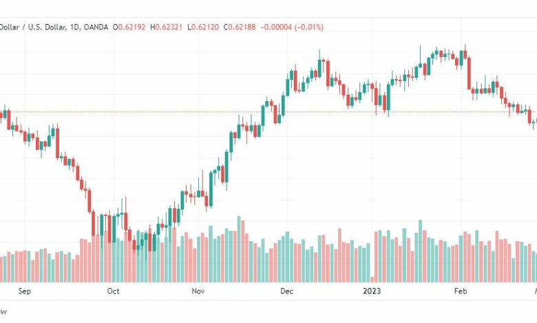 تحليل الدولار النيوزلندي-NZDUSD-3-3-2023